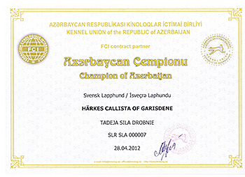 Champion of Azerbaijan