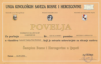 Champion of Bosnia and Herzegovina