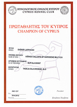 Champion of Cyprus