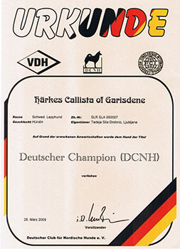 Champion of Germany DCNH