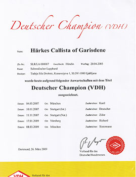 Champion of Germany VDH