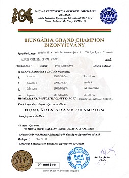 Grand Champion of Hungary