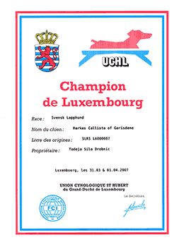Champion of Luxembourg