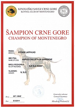 Champion of Montenegro