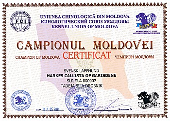 Champion of Moldova