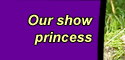 Our show princess