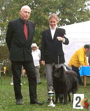 German clubshow for Nordic breeds